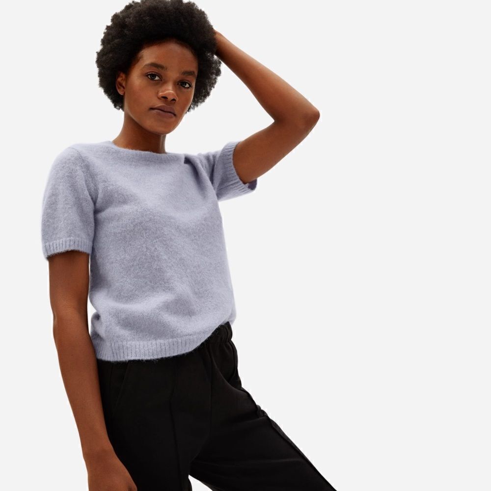 Everlane The Alpaca Sweater Tee in Periwinkle